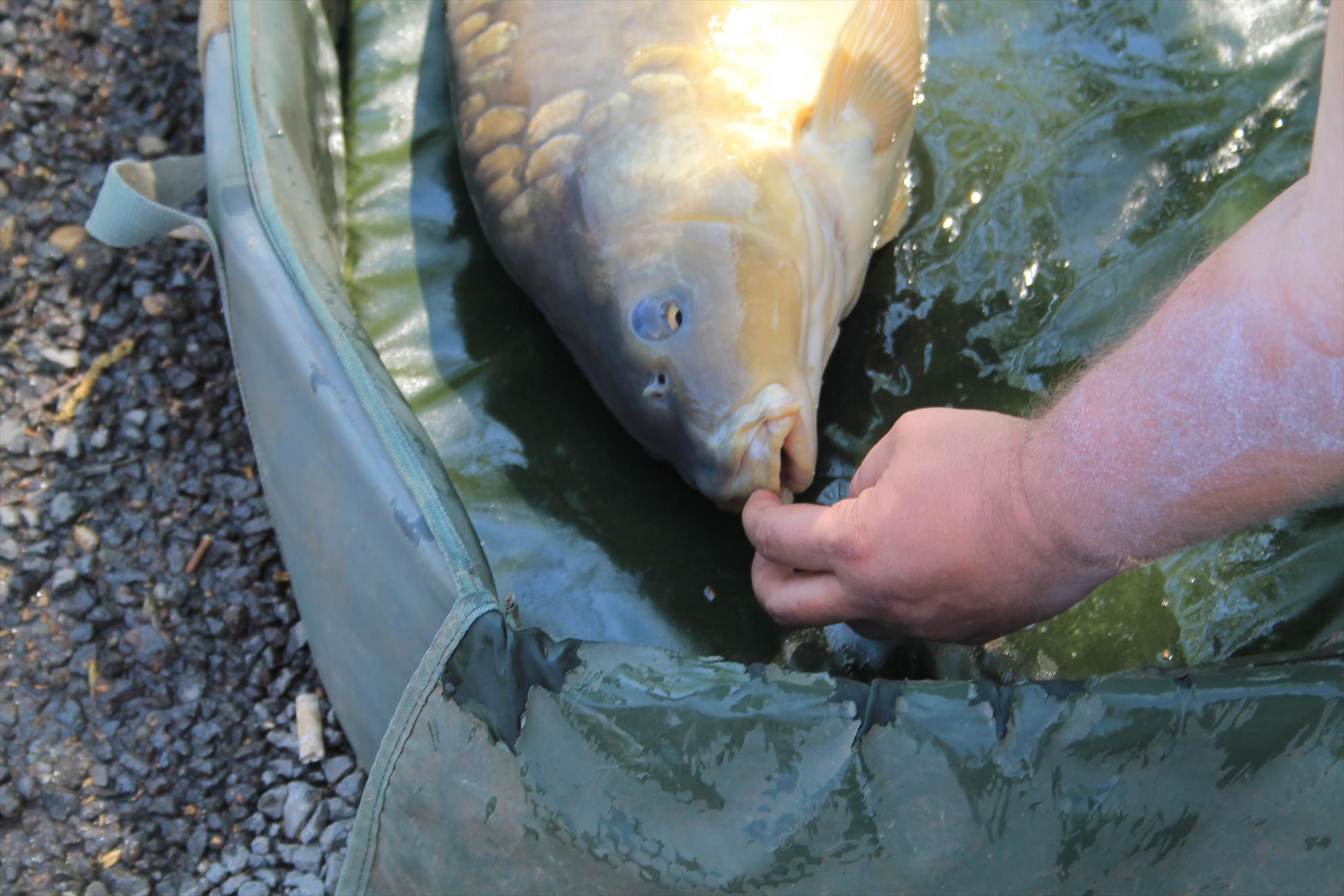 Nagykallo 2013 FedeerTeamUnique - nagykallo-aprilie2013-176.JPG